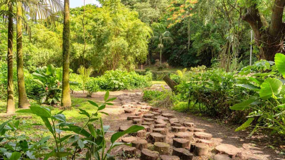 habitation céron, un coin de Nature à la Martinique