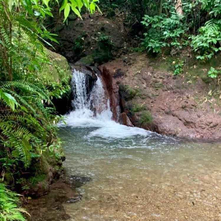 rivières de la Martinique