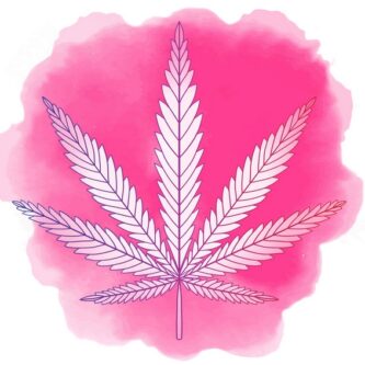 cosmétiques au cannabis