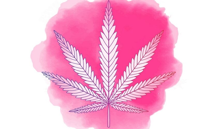 cosmétiques au cannabis