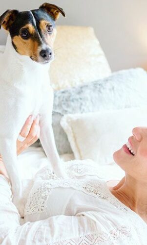 produits beauté pour chien