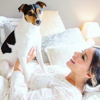 produits beauté pour chien