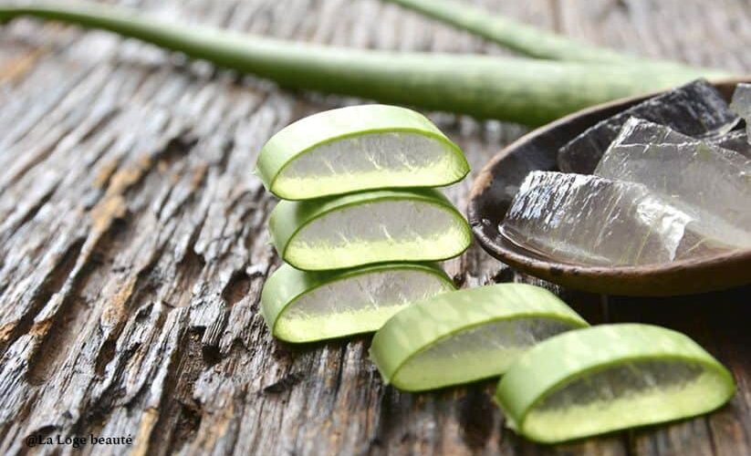 Les bienfaits de l'aloe vera
