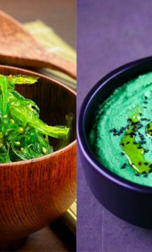 Les bienfaits des algues comestibles