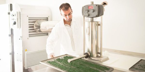 Au pressoir la Spiruline sort en Spaghettis …Etape très délicate