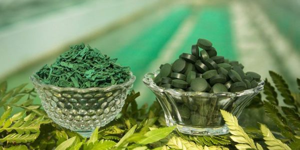 Spiruline en comprimés vs en paillettes