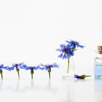 L’eau florale de bleuet, un bijou pour le contour des yeux