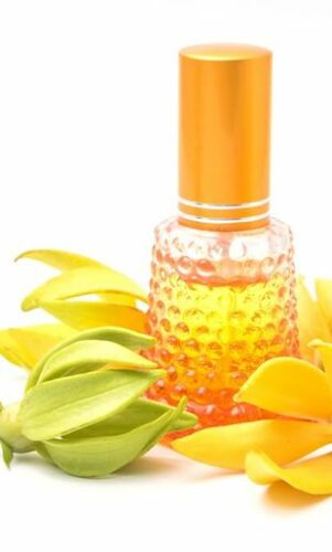 L’huile essentielle d’ylang-ylang et ses bienfaits pour le corps et les cheveux 