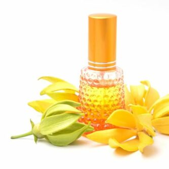 L’huile essentielle d’ylang-ylang et ses bienfaits pour le corps et les cheveux 