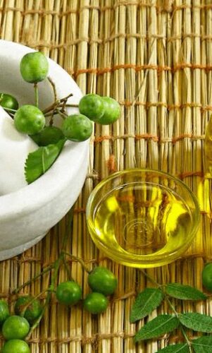 L’huile de neem et ses bienfaits insoupçonnés pour les cheveux 