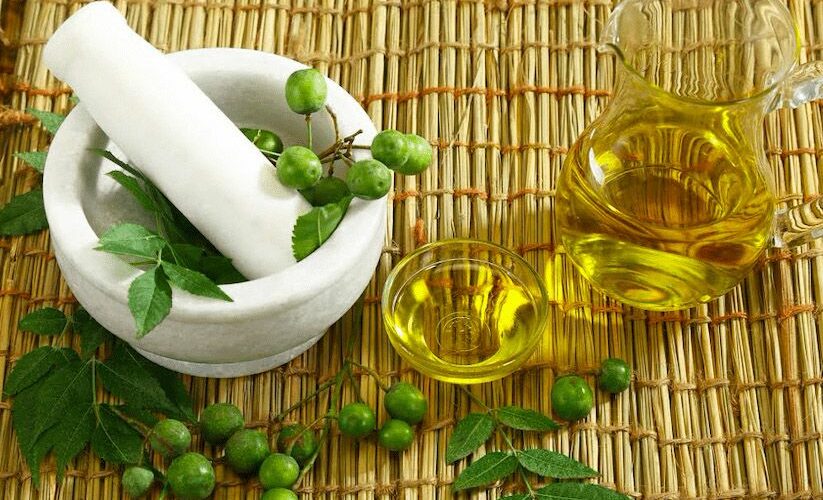 L’huile de neem et ses bienfaits insoupçonnés pour les cheveux 