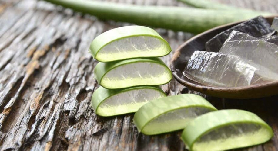 Propriétés du gel Aloe Vera