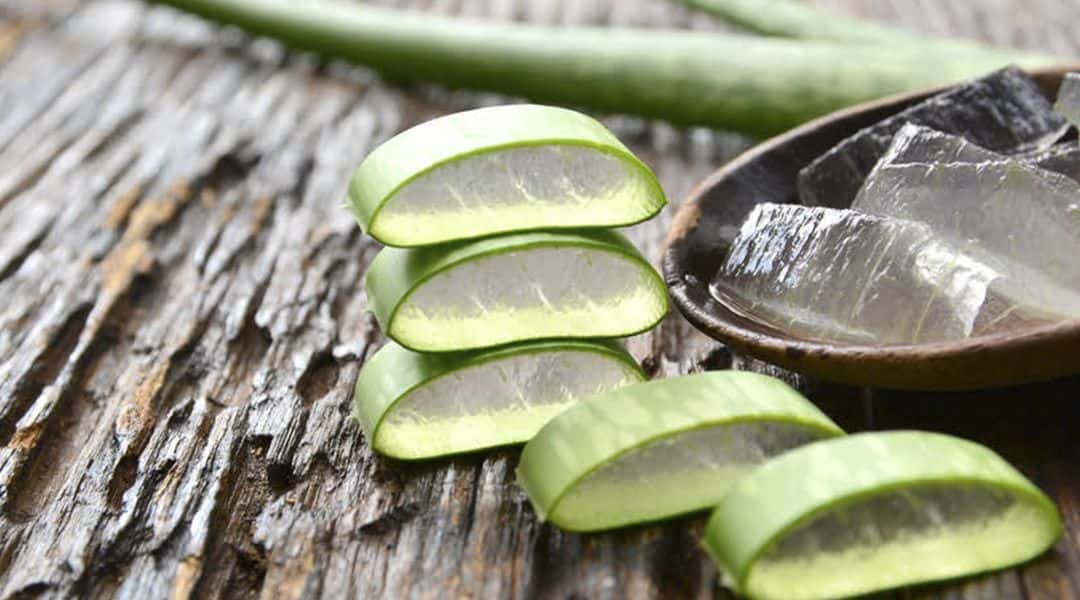 Propriétés du gel Aloe Vera