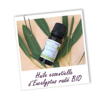 L’huile essentielle d’eucalyptus 