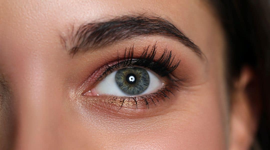 Estce que les cils repoussent ? Explications et conseils La Loge Beauté