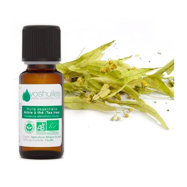 Huile essentielle tea tree