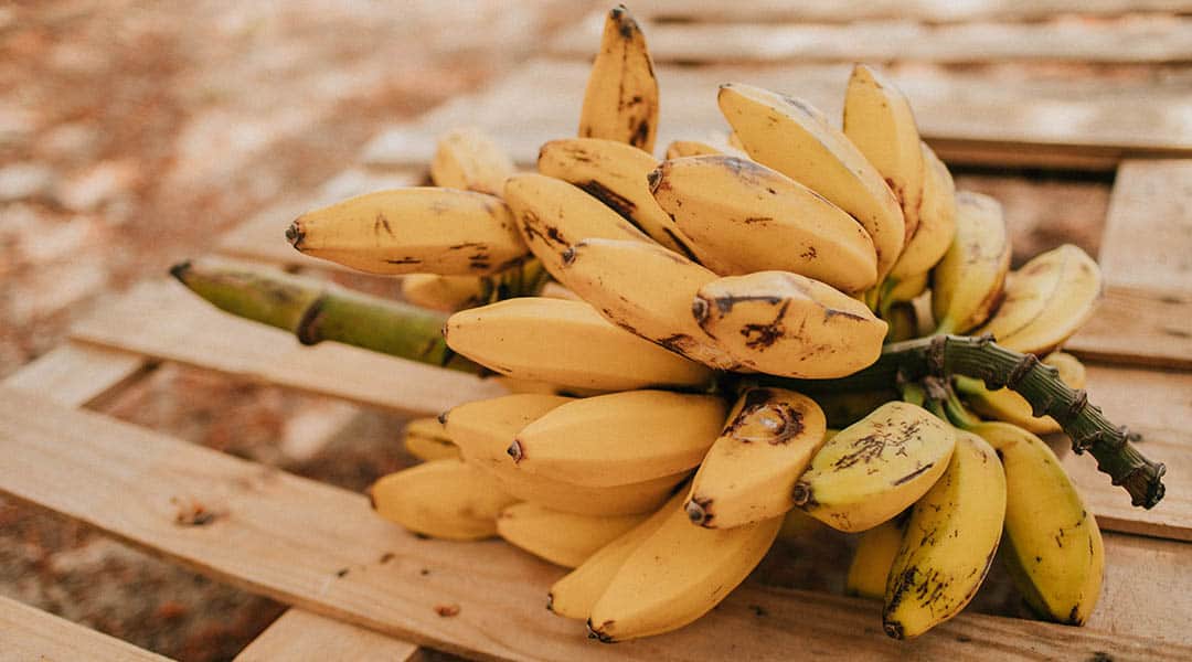 fruits exotiques bananes