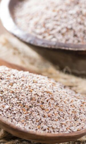 plante naturelle bienfaits psyllium