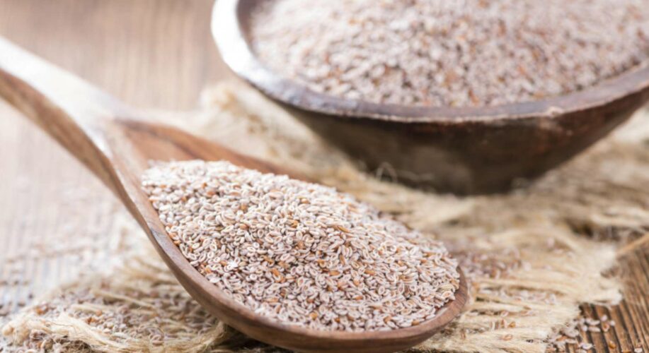 plante naturelle bienfaits psyllium