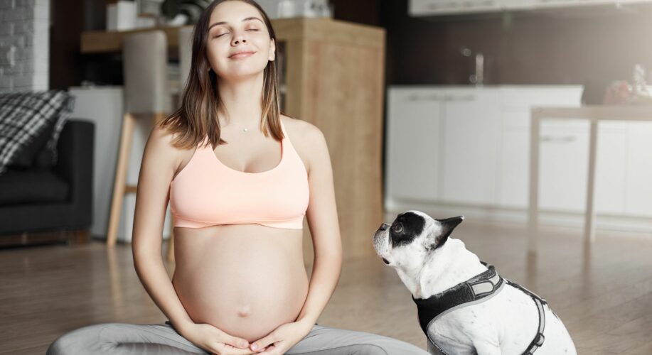 être enceinte avec son chien pour être détendue